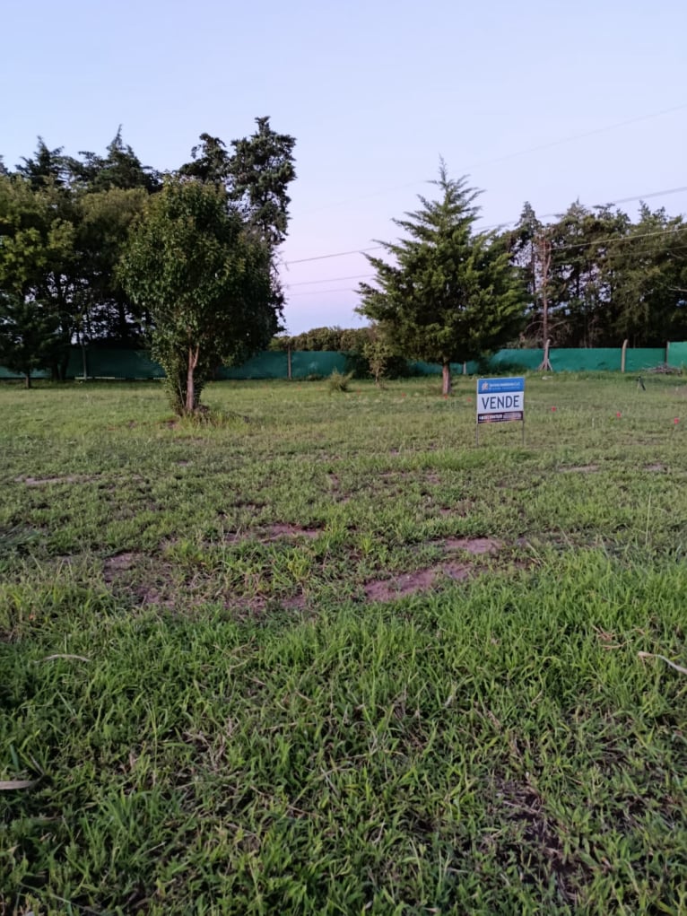 TERRENO TALAR DEL ESTE